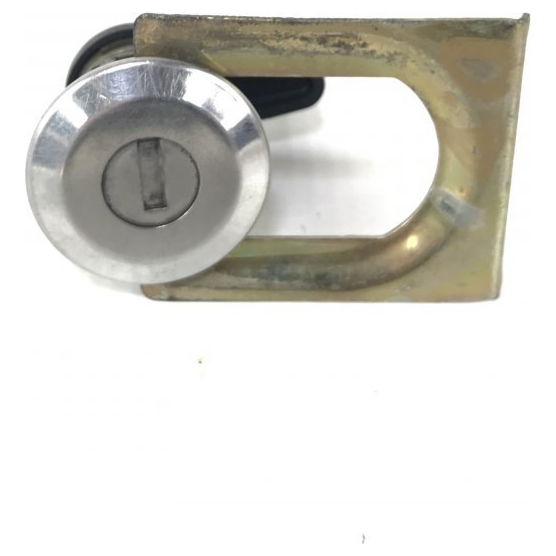 Cilindro Porta Dianteira Direita Peugeot 206 Original 31884