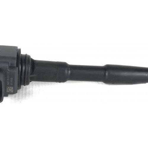 Bobina De Ignição Duster Expre 1.6 16v 2018 Original 34760
