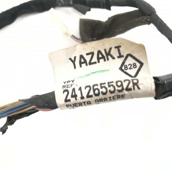Chicote Porta Traseiro Direito Renault Duster 2018 (34829)