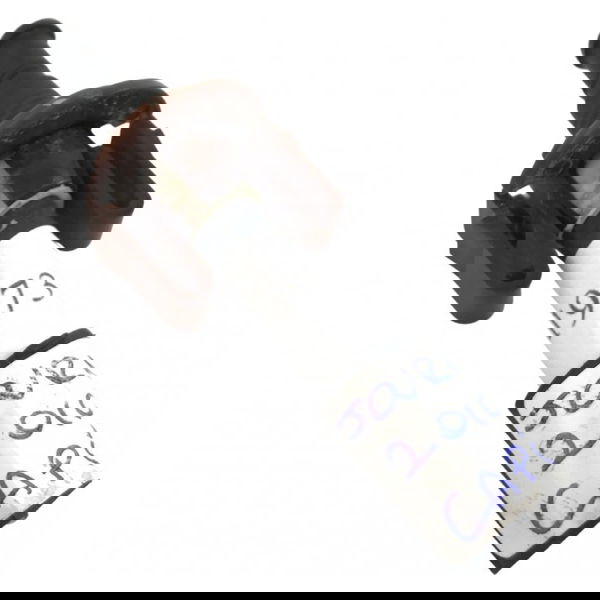 Interruptor Capo Dodge Journey 2010 Original 41973