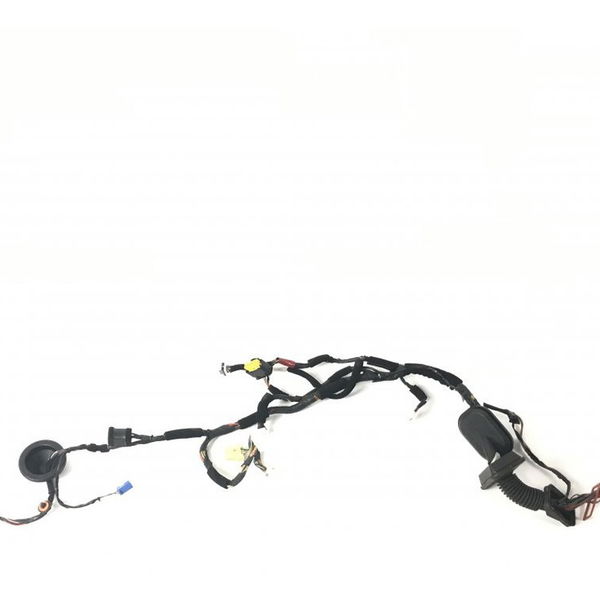 Chicote Porta Dianteira Esquerda Hyundai Azera 2011 (43254)
