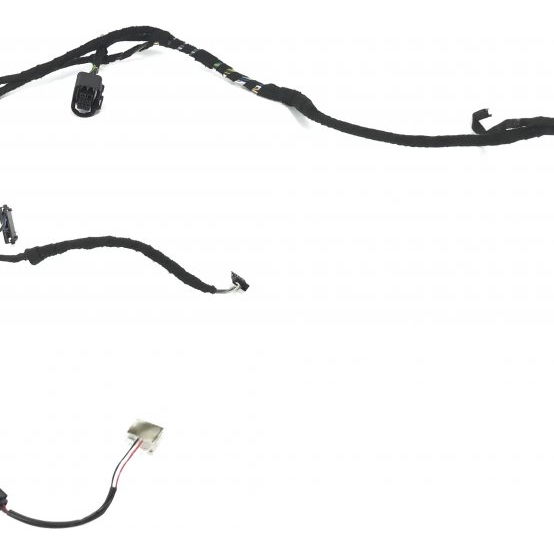 Chicote Porta Traseira Direita Bmw 320i 2.0 2013 Orig 45297