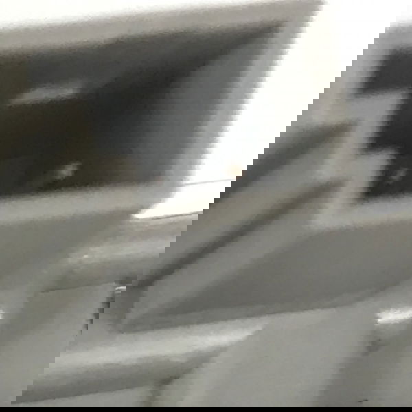 Luz Teto Dianteiro Esquerdo Bmw 535i 2011 Original 46519