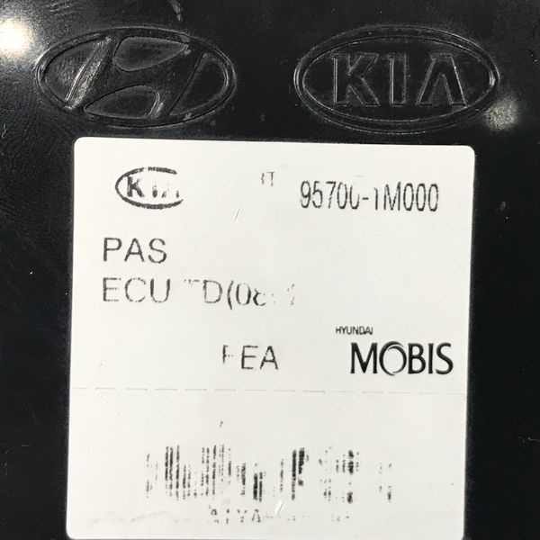 Módulo Pas Ecu Kia Cerato Sx 1.6 16v 2011 Original 46446