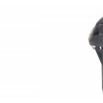 Interruptor Sensor Porta Renault Duster 2021 Original 19588