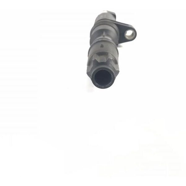 Bobina Motor Original Renault Duster 2.0 16v 2016 (532)