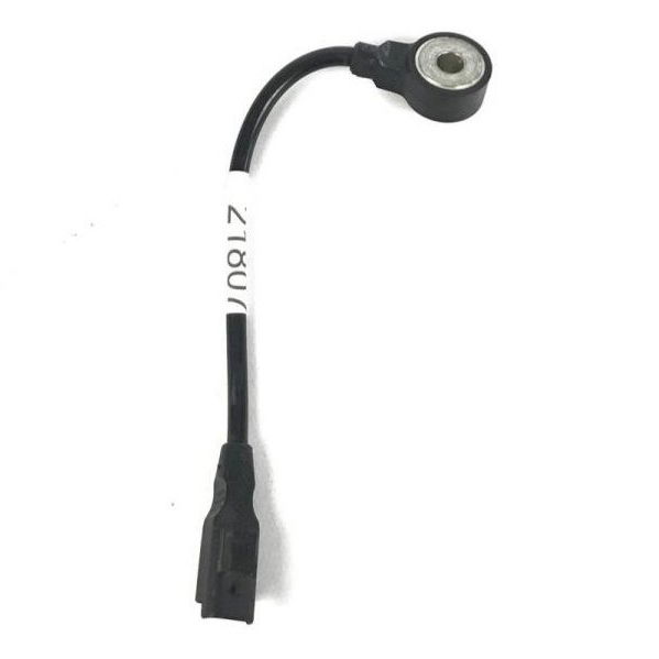 Sensor Detonação Citroen C4 Lounge 2.0 2014 Original (21807)