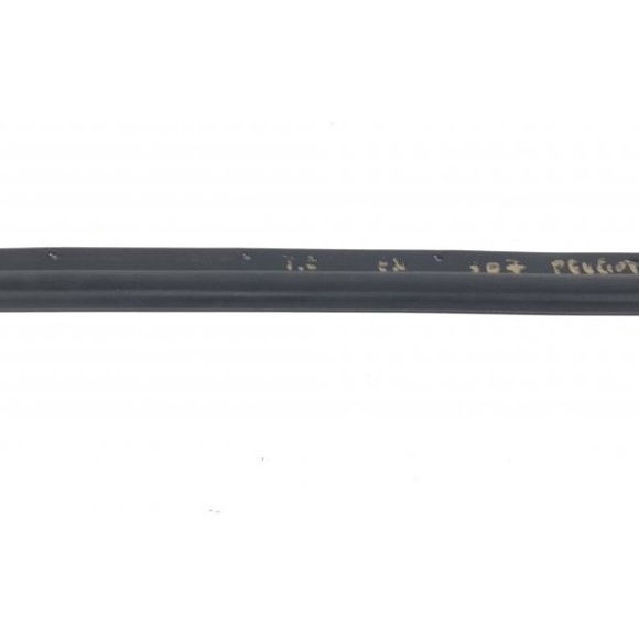 Pestana Externa Traseira Esquerda Peugeot 307 2012 (31038)