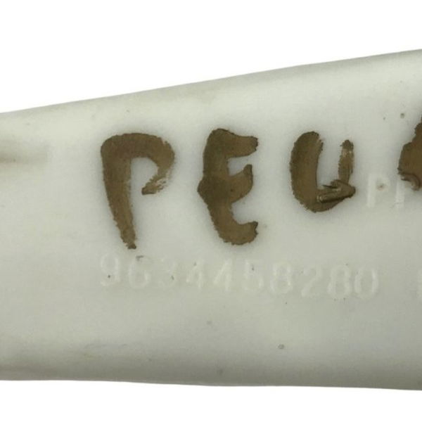 Guia Vidro Porta Traseira Direita Peugeot 307 2012 (30841)