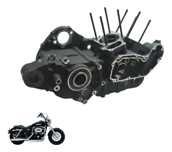 Bloco Carcaça Motor Nfe Baixa Harley Xl 1200 Cb 14-16 Orig
