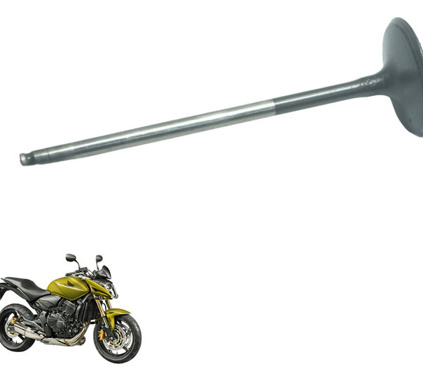Válvula Admissão Honda Cb 600f Hornet 08-11 Original