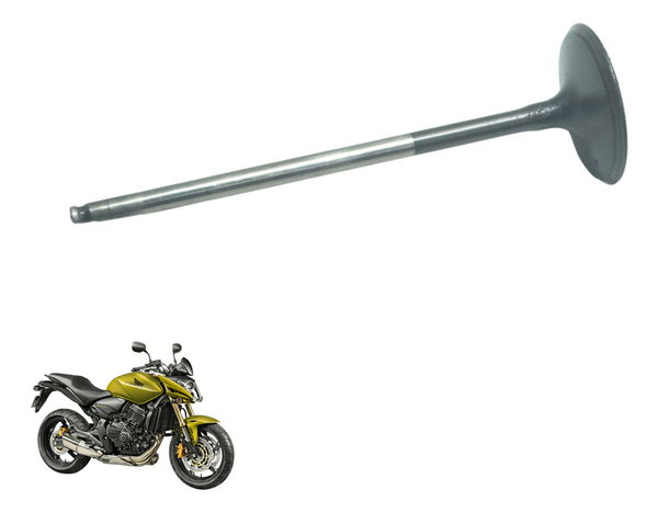Válvula Admissão Honda Cb 600f Hornet 08-11 Original