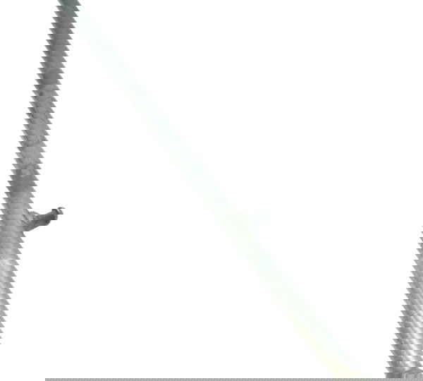 Vareta Pedal Câmbio Torta Suzuki Boulevard M 800 09-11 Orig