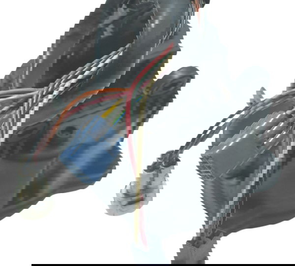 Painel Suzuki Boulevard M 800 09-11 Original