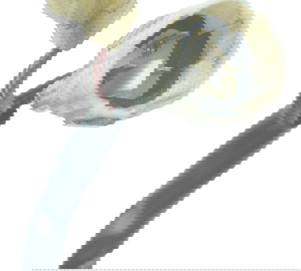 Servo Motor Suzuki Gsx-r 750 Srad 10-13 Original