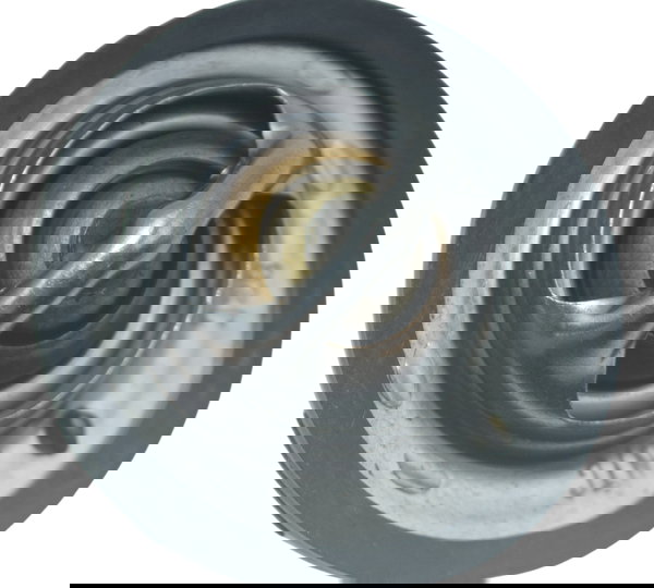 Válvula Termostática Suzuki Gsx-r 750 Srad 10-13 Original