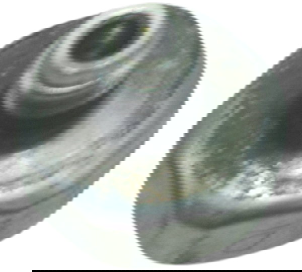 Sensor Óleo Suzuki Boulevard M 800 09-11 Original