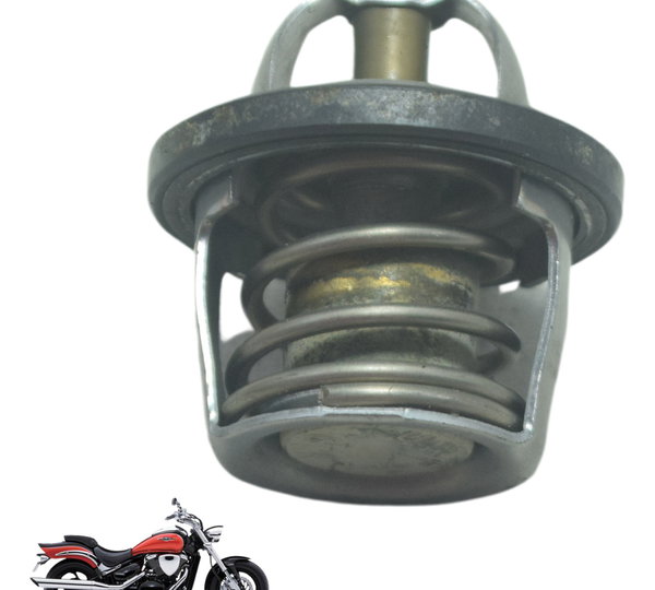 Válvula Termostática Suzuki Boulevard M 800 09-11 Original