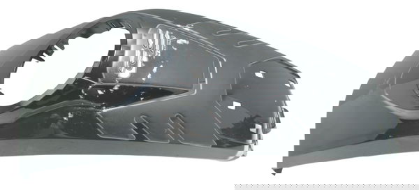 Capa Central Tanque Bmw R1250 R 1250 Gs 19-24 Original