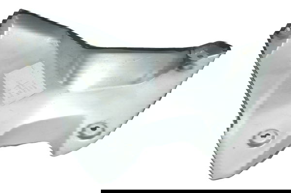 Capa Radiador Dir C/ Detalhes Bmw R1250 R 1250 Gs 19-24 Orig
