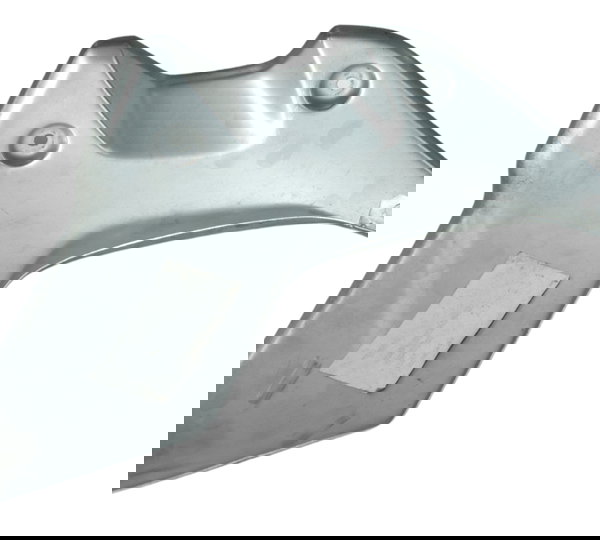 Capa Radiador Esquerdo Bmw R1250 R 1250 Gs 19-24 Original