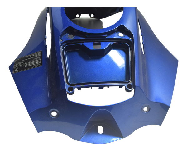 Capa Central Tanque Bmw R1250 R 1250 Adv 19-24 Original