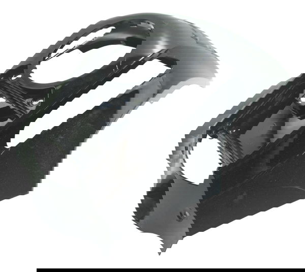 Capa Central Tanque Bmw R1250 R 1250 Adv 19-24 Original