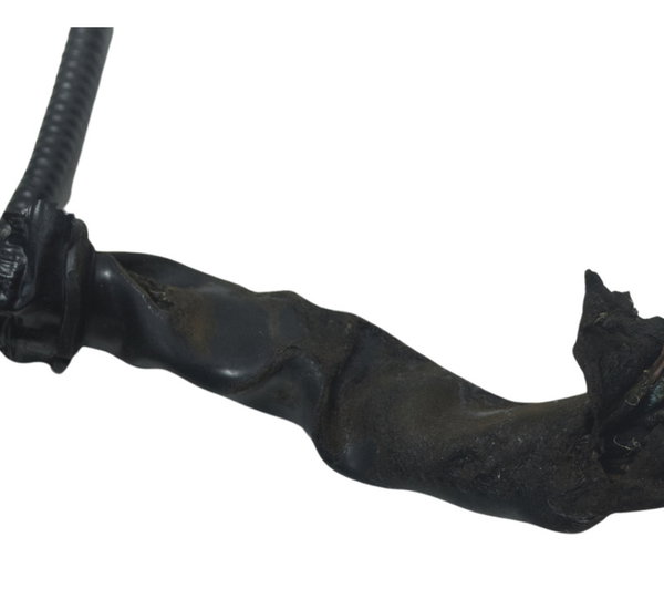 Chicote Principal Honda Cb 650r 2022 Original