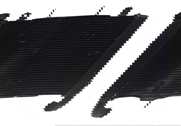 Radiador C/ Avaria Honda Cb 650r 2022 Original