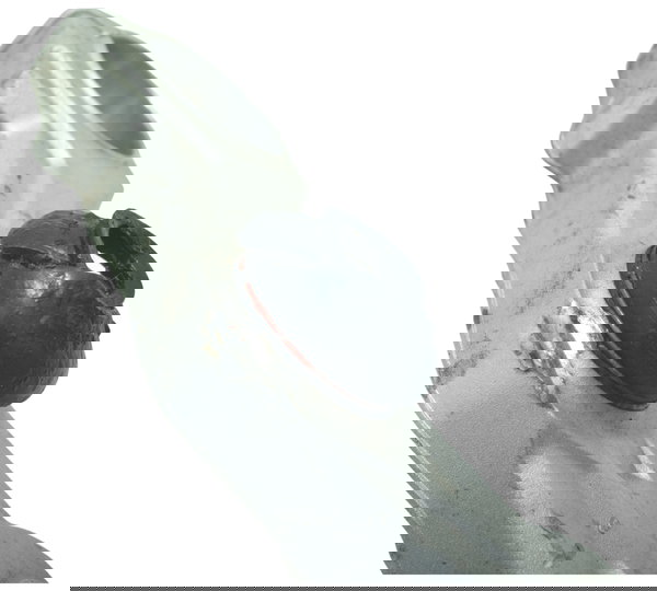 Mesa Inferior C/ Avaria Bmw R1250 R 1250 Gs 19-24 Original