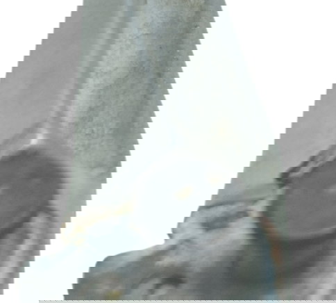 Pedaleira Traseira Direita Honda Cb 650r 2022 Original