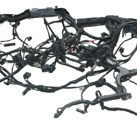 Chicote Principal C/ Avaria Bmw R1250 R 1250 Gs 19-24 Orig