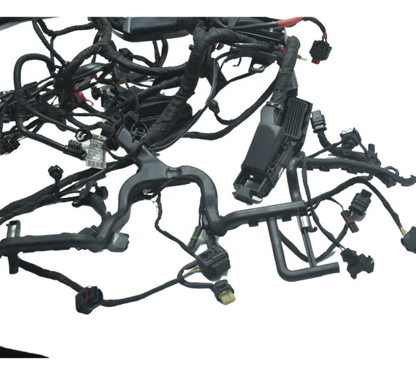 Chicote Principal C/ Avaria Bmw R1250 R 1250 Gs 19-24 Orig