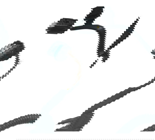 Chicote Principal C/ Avaria Bmw R1250 R 1250 Gs 19-24 Orig