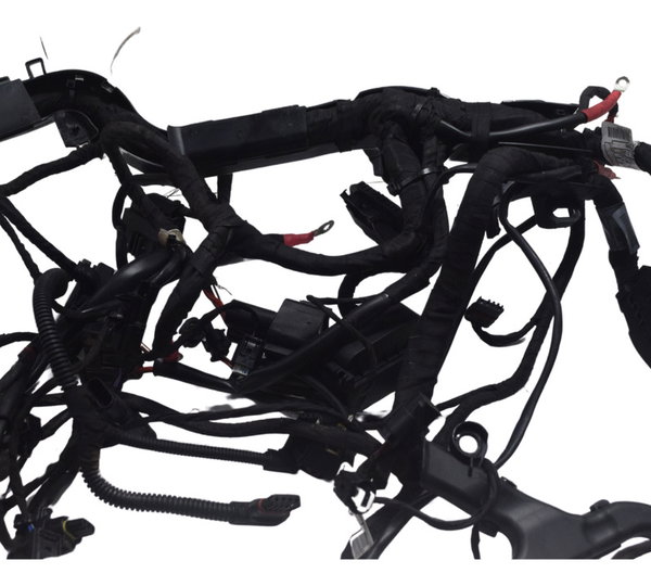 Chicote Principal C/ Avaria Bmw R1250 R 1250 Gs 19-24 Orig