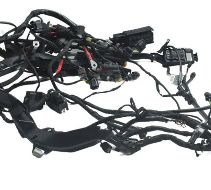 Chicote Principal C/ Avaria Bmw R1250 R 1250 Gs 19-24 Orig