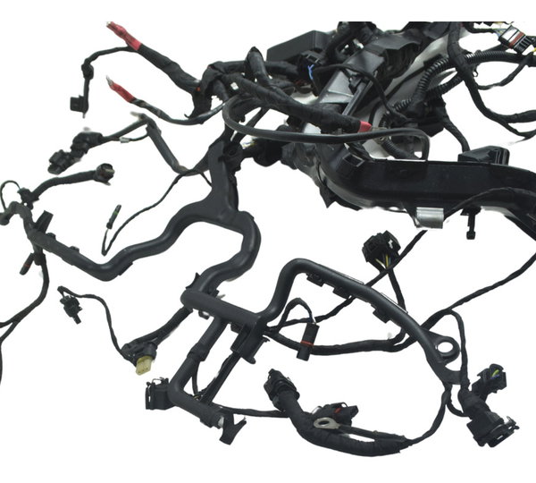 Chicote Principal C/ Avaria Bmw R1250 R 1250 Gs 19-24 Orig