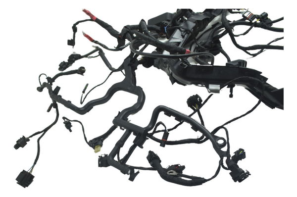 Chicote Principal C/ Avaria Bmw R1250 R 1250 Gs 19-24 Orig
