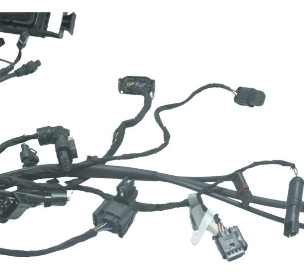 Chicote Principal C/ Avaria Bmw R1250 R 1250 Gs 19-24 Orig