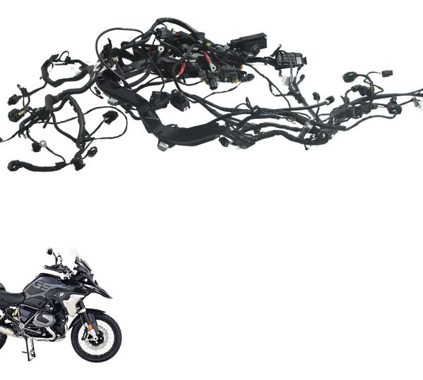 Chicote Principal C/ Avaria Bmw R1250 R 1250 Gs 19-24 Orig
