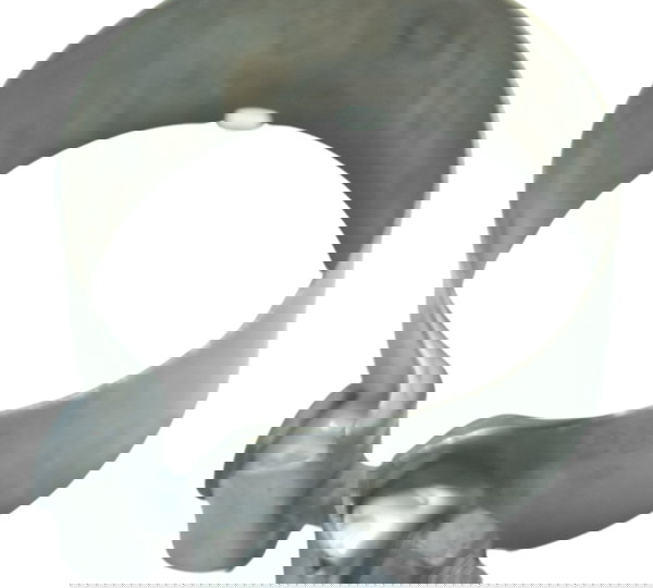 Abraçadeira Ponteira Escape Bmw R1250 R 1250 Gs 19-24 Orig