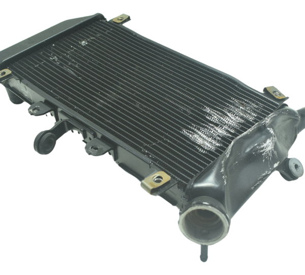 Radiador C/ Avaria Kawasaki Z 400 19-23 Original