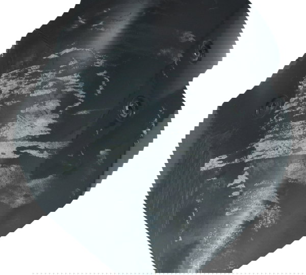 Para-brisa Bolha C/ Avaria Kawasaki Z 400 19-23 Original