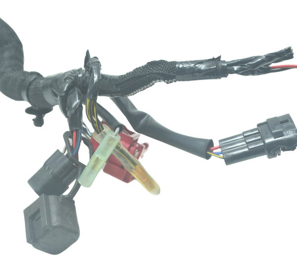 Chicote Principal Kawasaki Z 400 19-23 Original