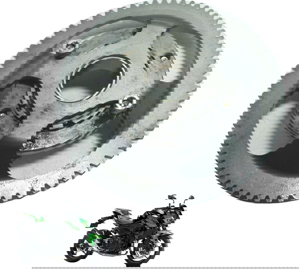 Placa Partida Kawasaki Z 400 19-23 Original