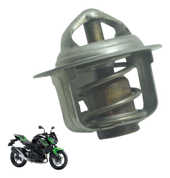 Válvula Termostática Kawasaki Z 400 19-23 Original