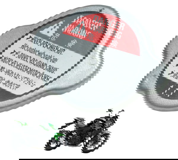 Tampa Radiador Kawasaki Z 400 19-23 Original