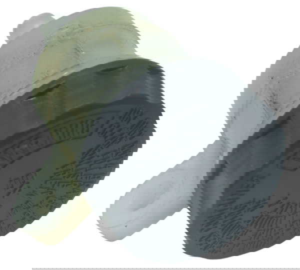 Reservatório Freio Traseiro Kawasaki Z 400 19-23 Original