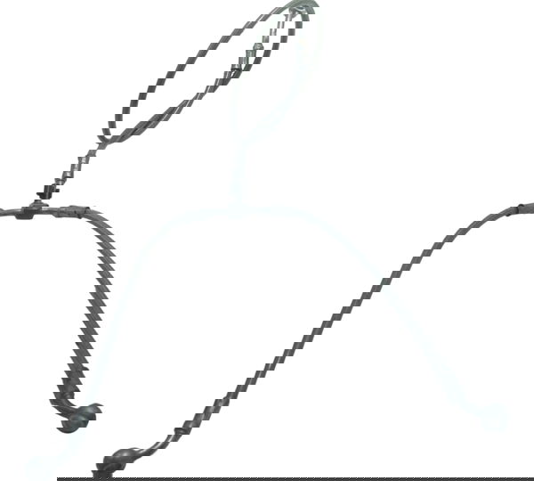 Flexível Freio Dianteiro Bmw R1250 R 1250 Gs 19-24 Original