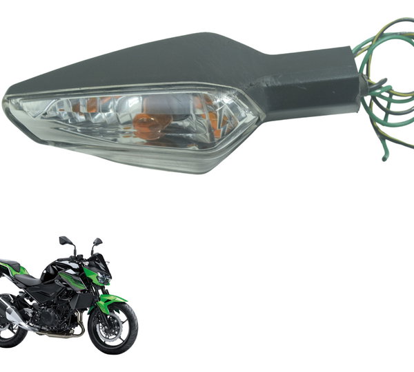 Pisc Traseiro Esquerdo C/detalhes Kawasaki Z 400 19-23 Orig